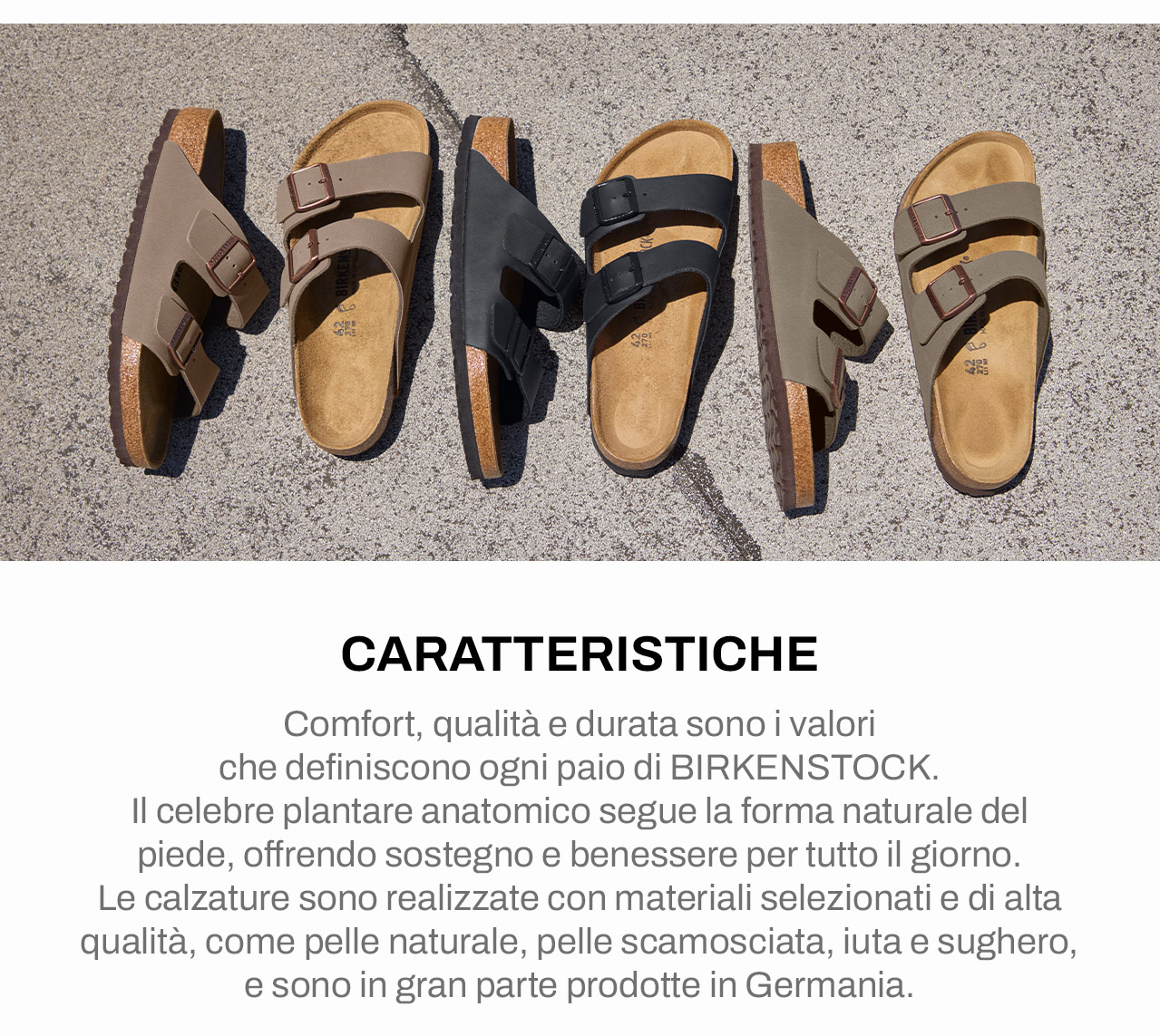Caratteristiche