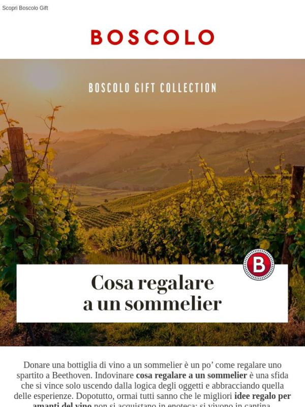 Cosa regalare a un sommelier: la Top 5 dei regali “divini”