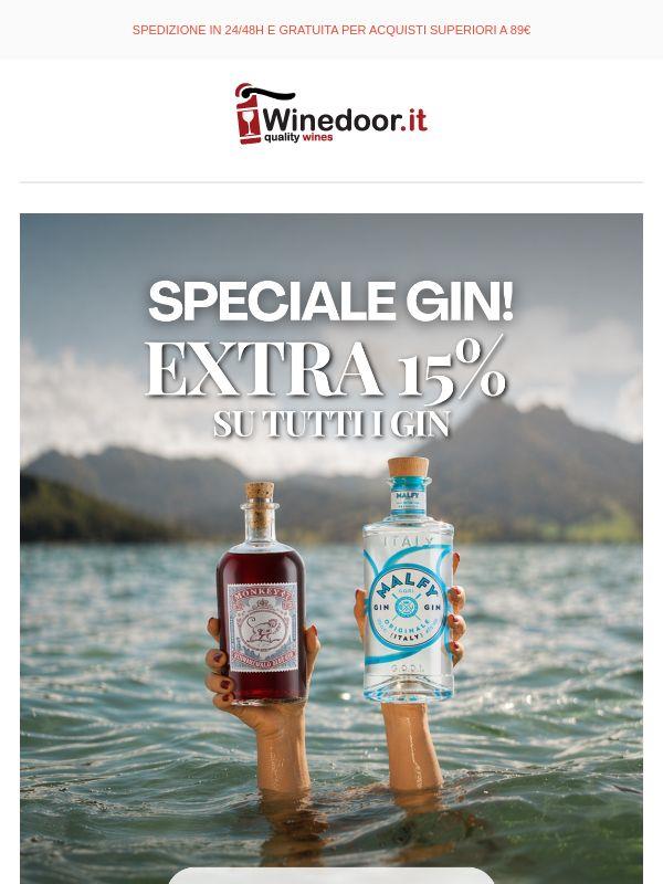 ☀️ Estate e gin: extra 15% su tutta la selezione