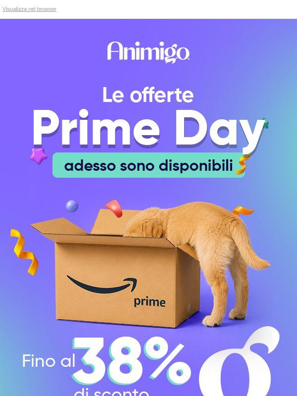 Le nostre migliori offerte Amazon sono qui