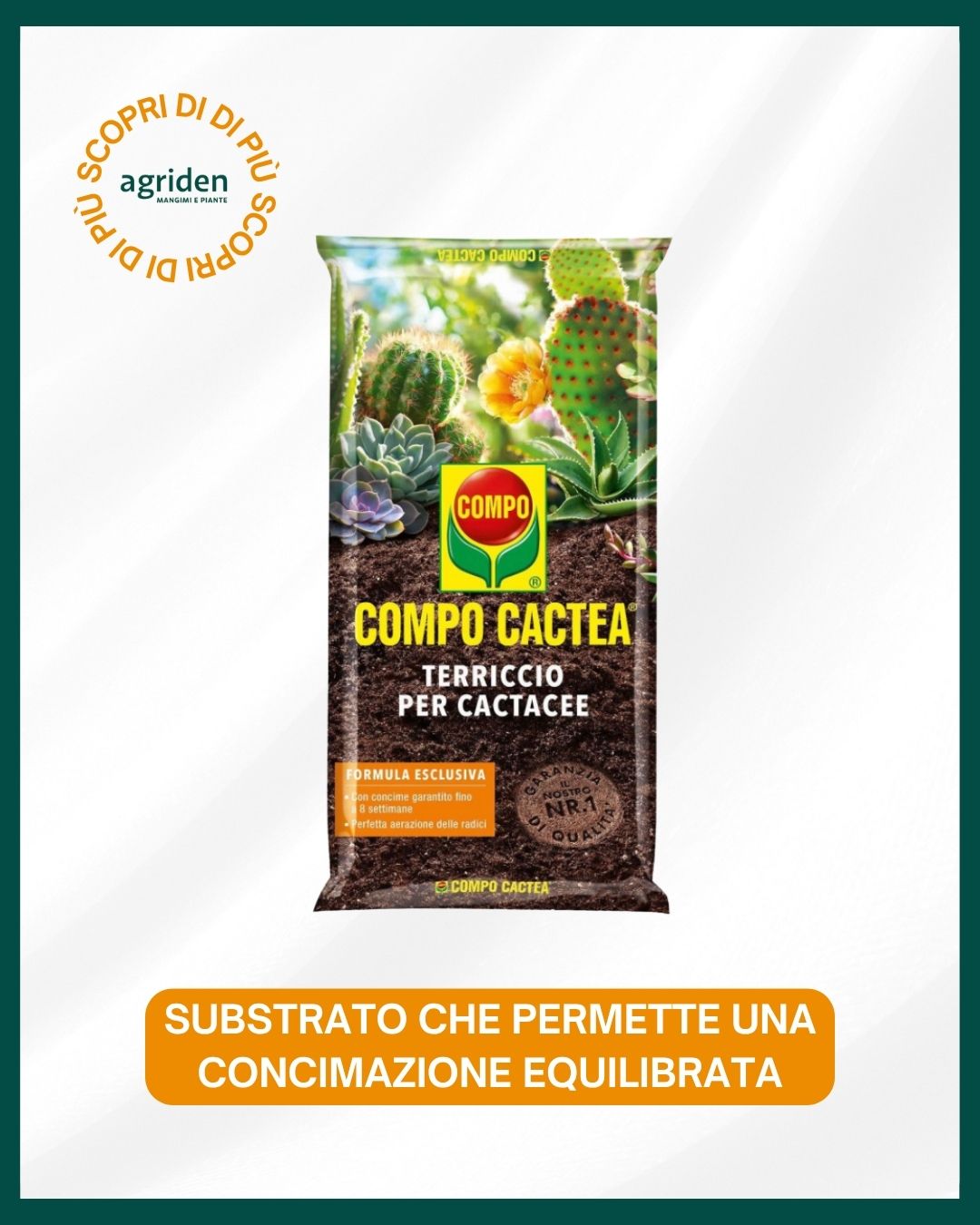 Bado insetticida in polvere prontouso