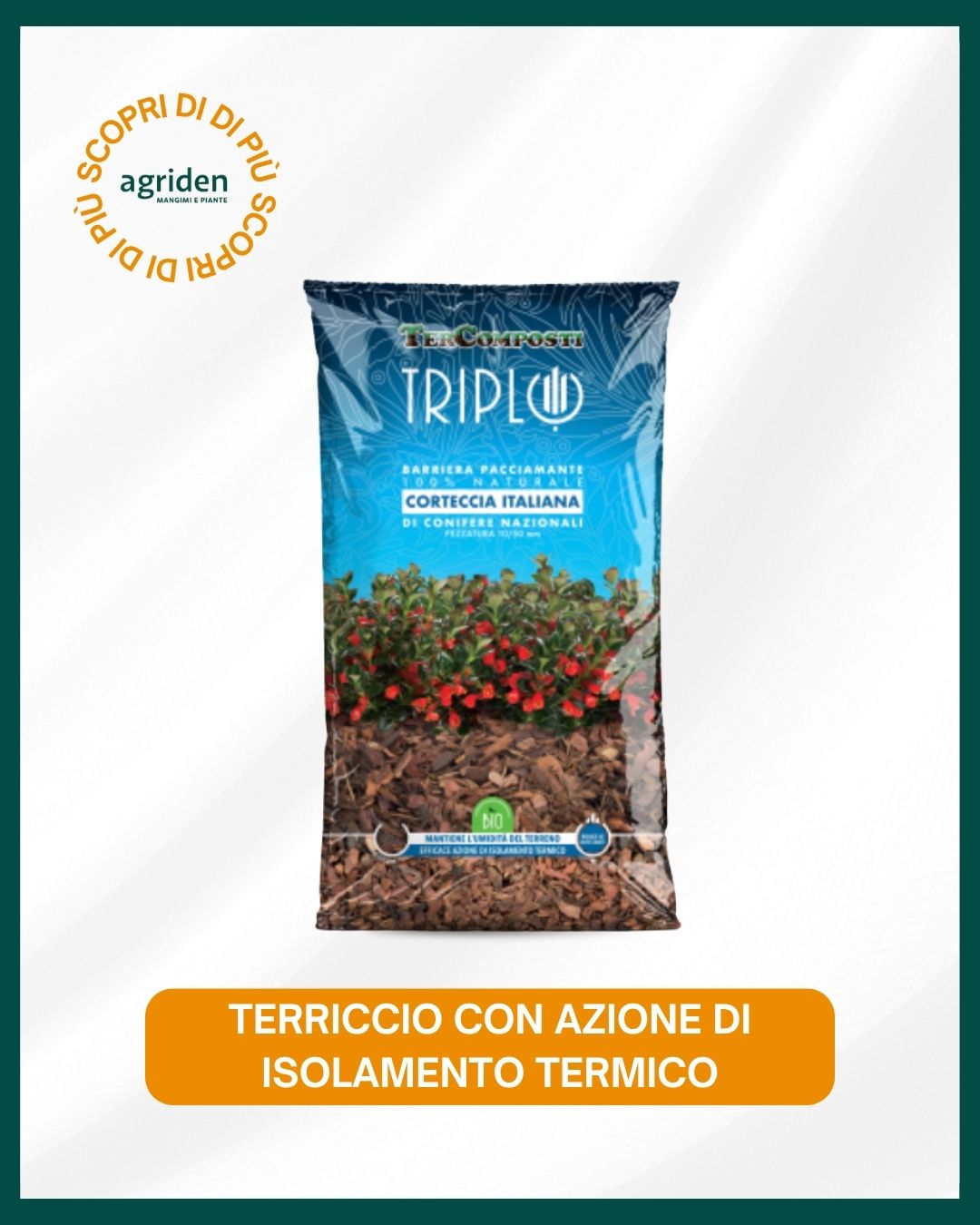 Insetticida concentrato zapi zanzare
