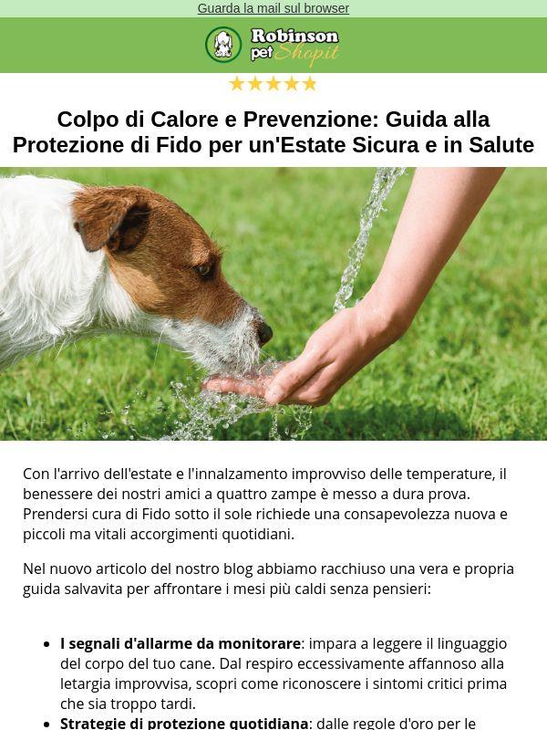 🔴 SOS Caldo: sai come proteggere il tuo cane dal colpo di calore?