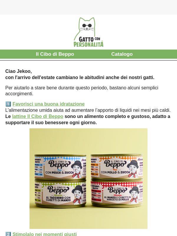 La spedizione sopra i 49€ è gratis!