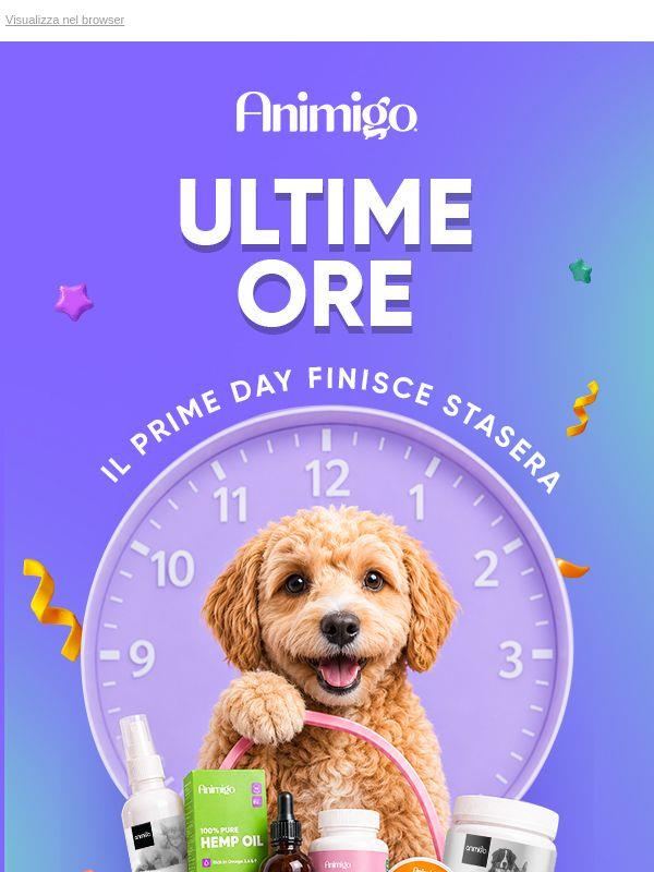Termina stasera: Offerte Prime Day