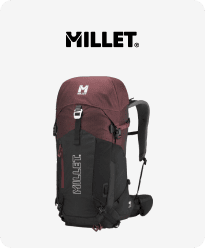 Millet