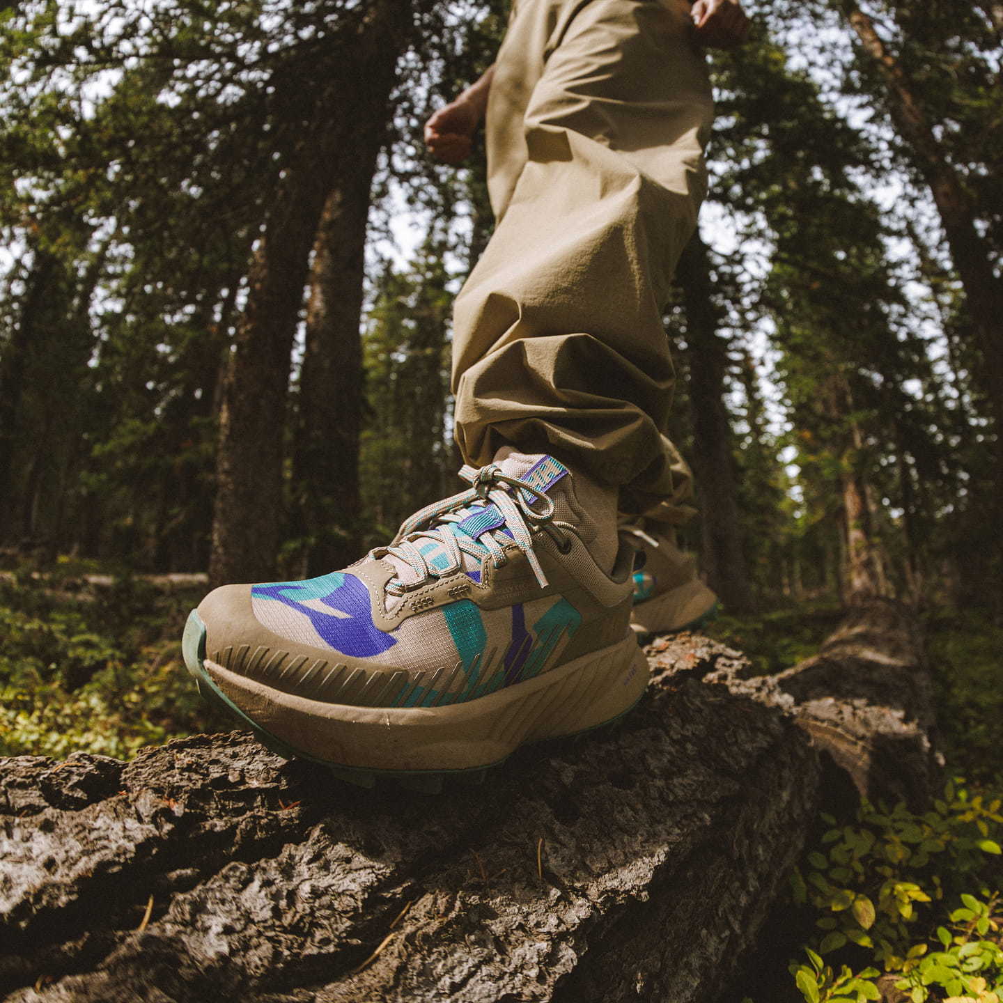 Everything you need for your next hike - right here