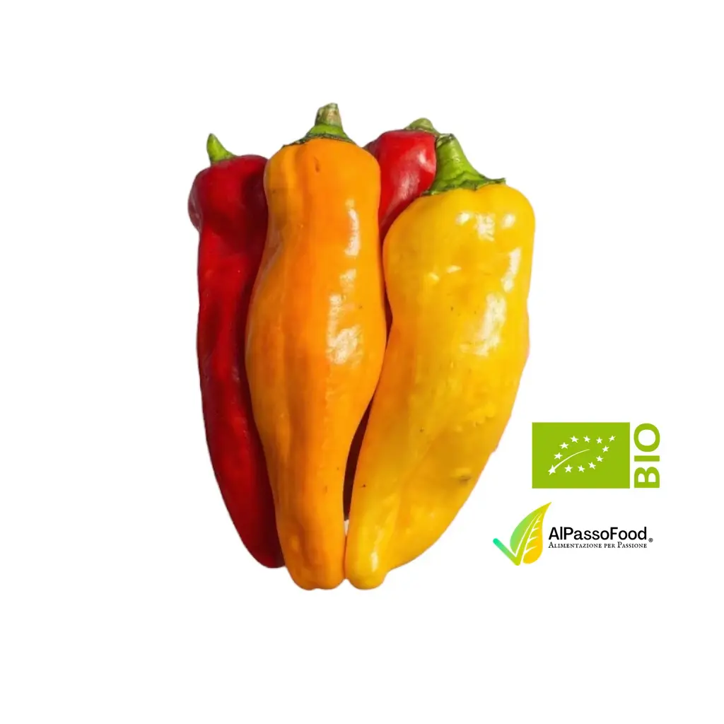 Peperone Corno Bio