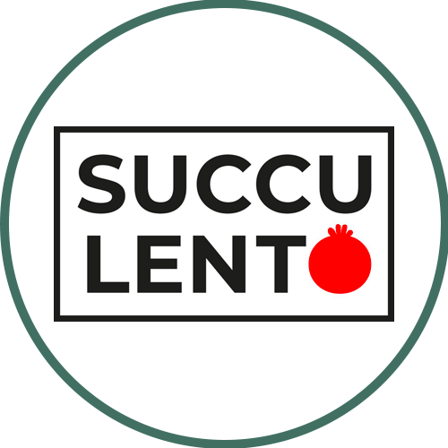 SuccuLento