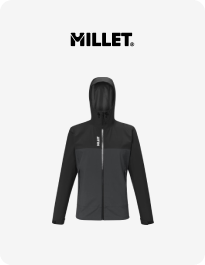 Millet