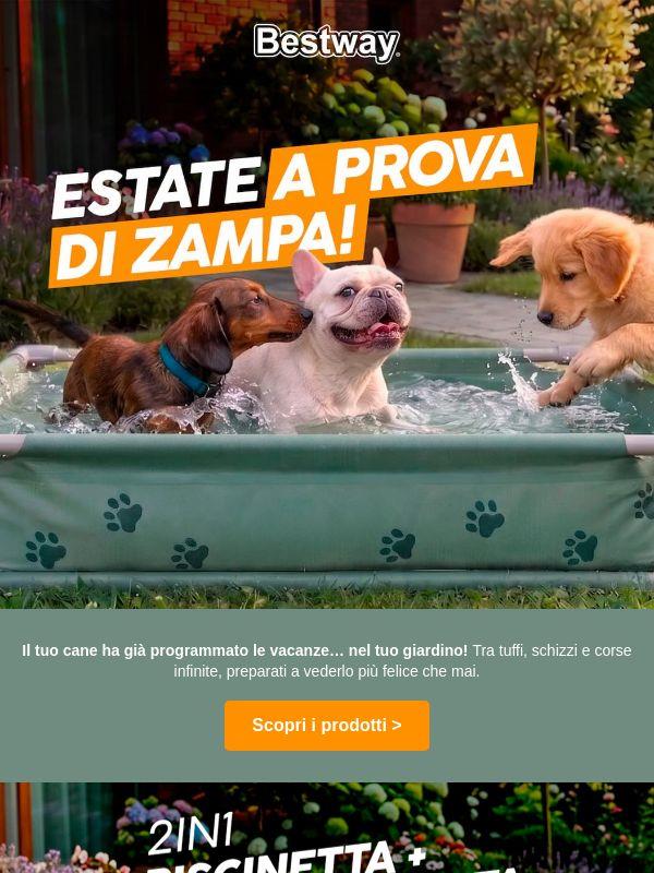🐾 il must-have dell’estate per il tuo cane
