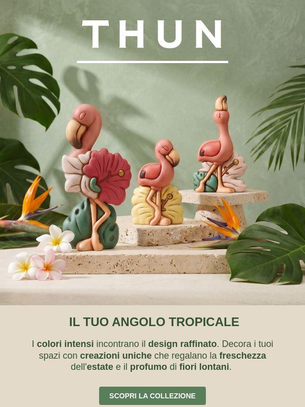 Il tuo angolo ai tropici 🌴