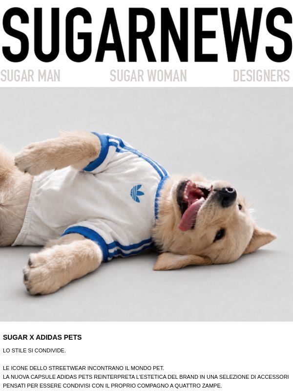 Sugar X Adidas Pets