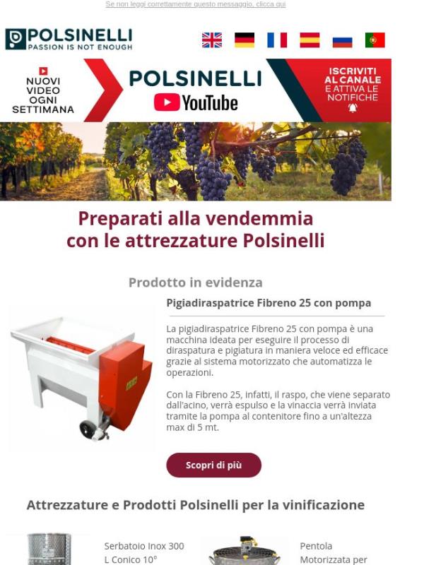 La vendemmia si avvicina: preparati con Polsinelli 🍇