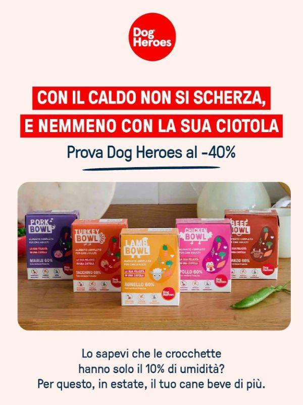 Prova Dog Heroes al 40% di sconto