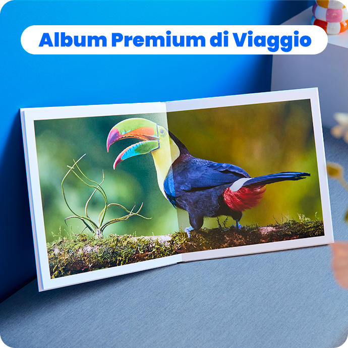 Album Premium di Viaggio