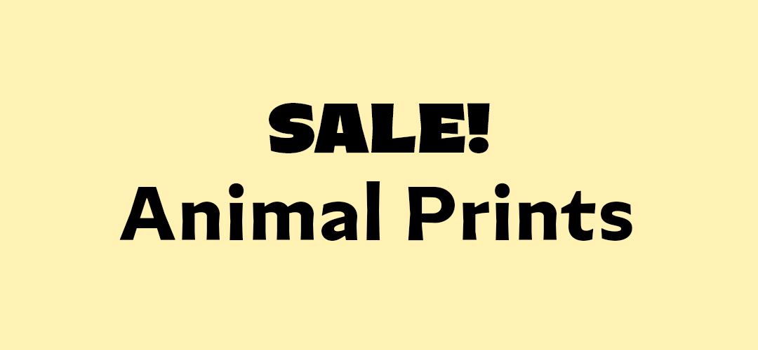 Sale_Animal_Prints