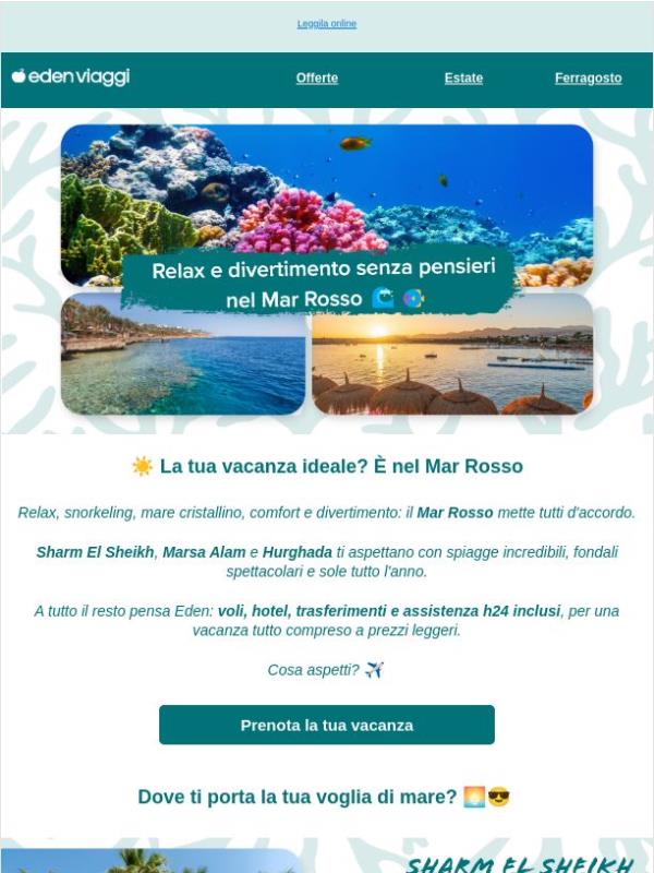 Mar Rosso: tutto incluso, prezzo leggero 🪸🌅