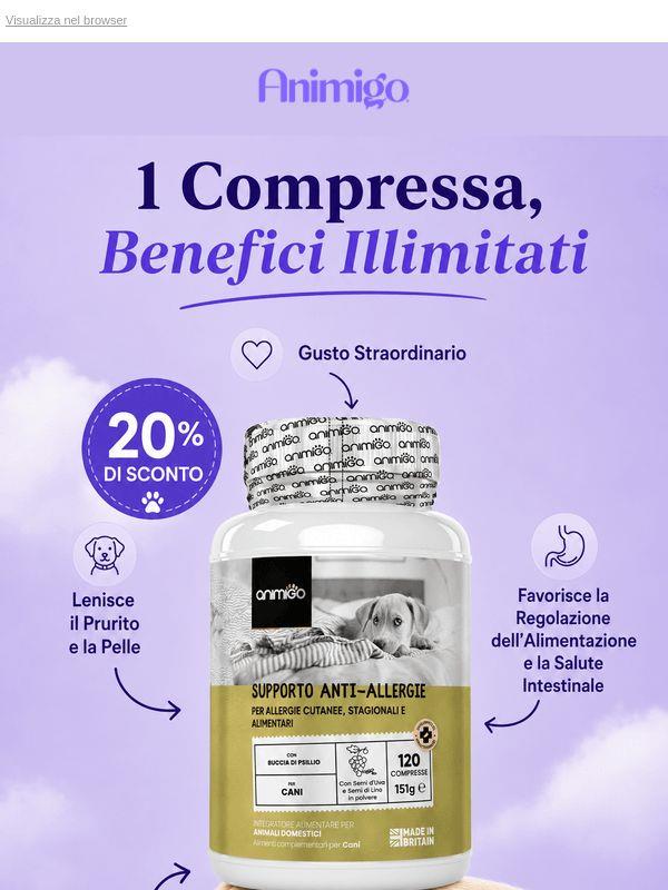 Il sollievo è a portata di mano: 20% di sconto su Allergy Aid!