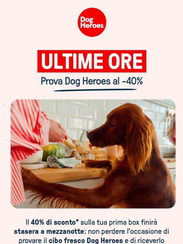Ultimo giorno al -40%
