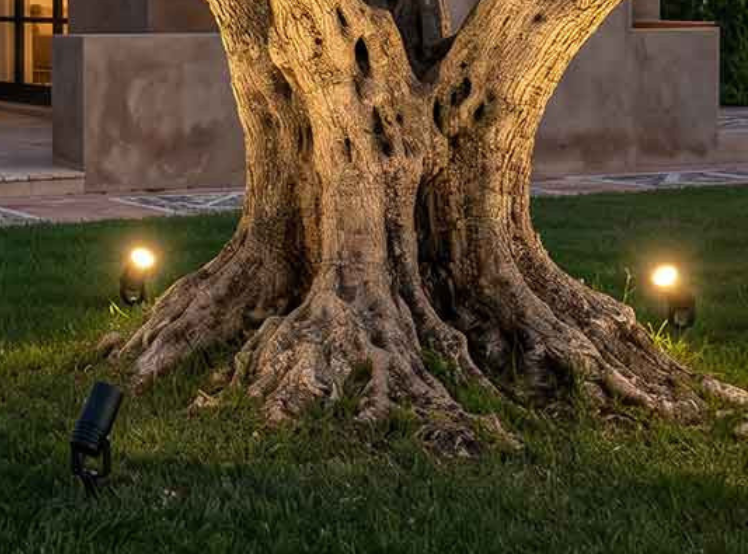 Illuminazione viali e giardini