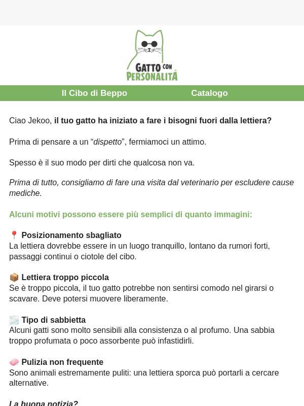 Il tuo gatto fa i bisogni fuori dalla lettiera?
