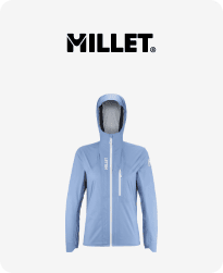 Millet