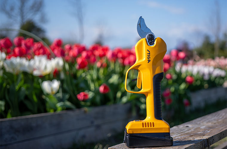 Stiga pruning tips