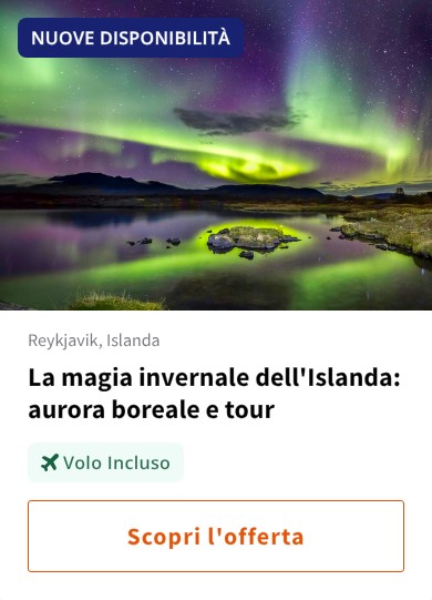 La magia invernale dell'Islanda: aurora boreale e tour