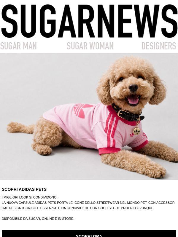 adidas Pets è da Sugar