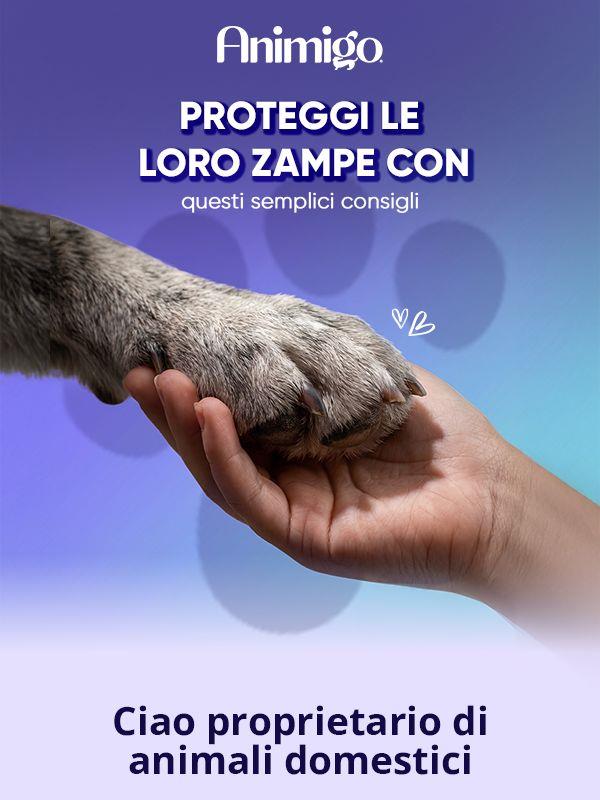 🐾 Fa troppo caldo per una passeggiata? Come verificarlo.