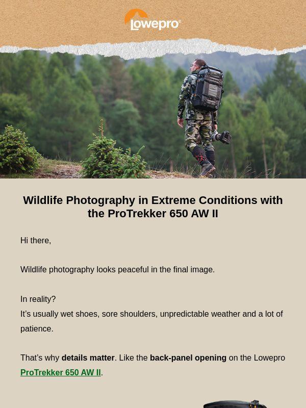 Wildlife photography isn’t always glamorous