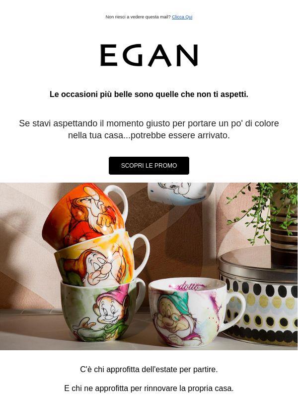 ✨ Hai già visto queste occasioni?