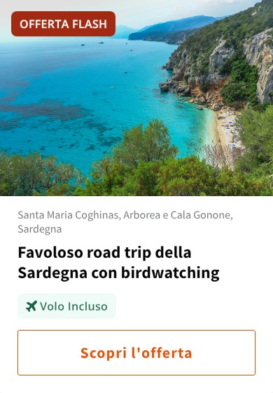 Favoloso road trip della Sardegna con birdwatching