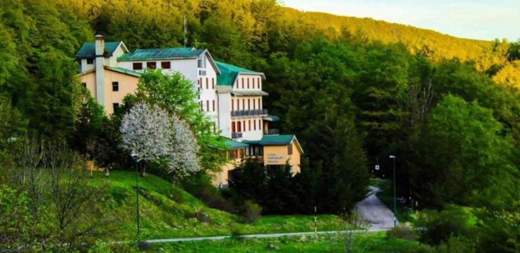 Large yellow country hotel with green roofs nestled on a forested hillside, white blossom tree and winding path in spring