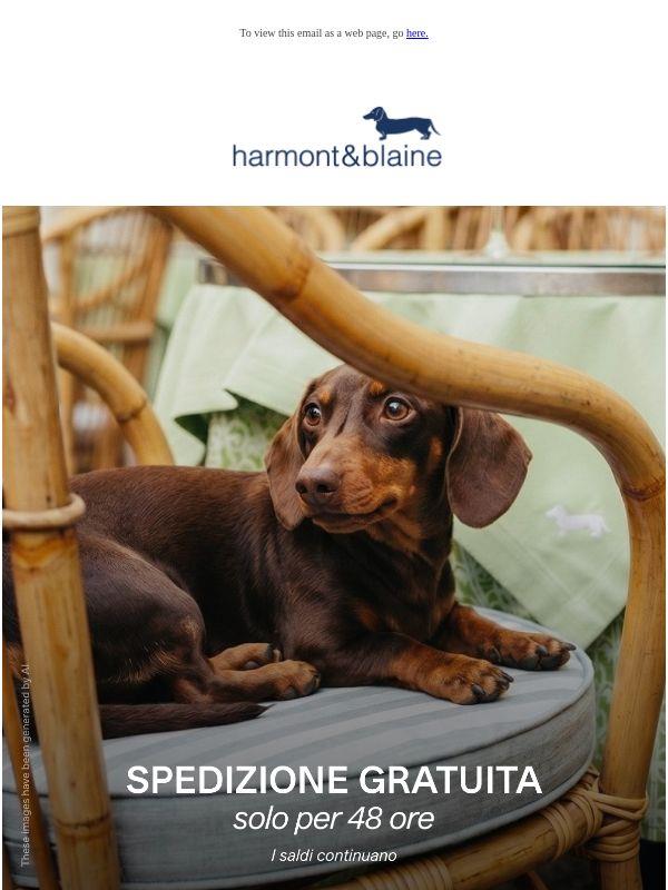 Saldi! Fino al -60% + Spedizione Gratuita solo per poche ore