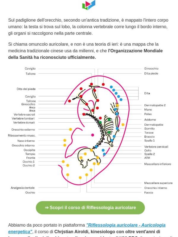 Cosa puoi leggere in un ORECCHIO? (più di quanto pensi)