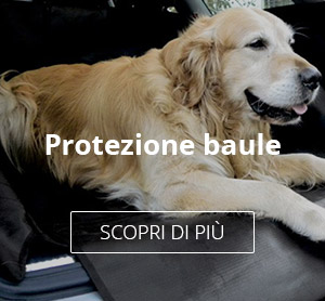 Protezione baule