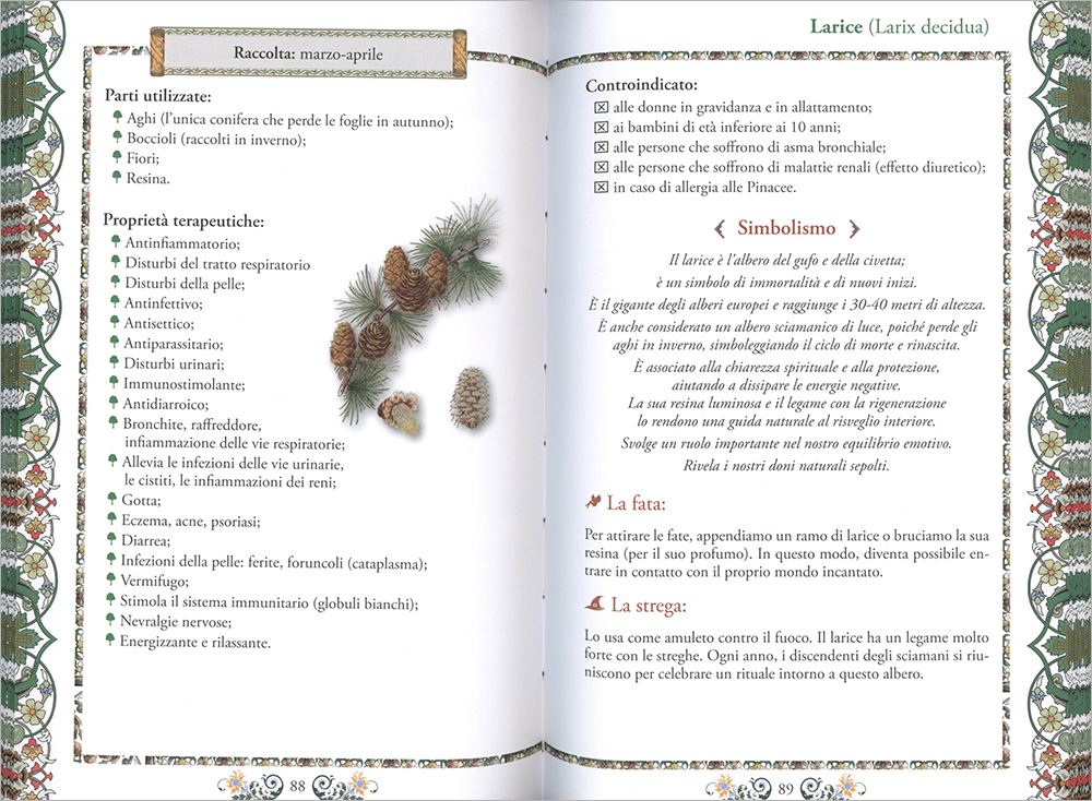 Pagine Interne