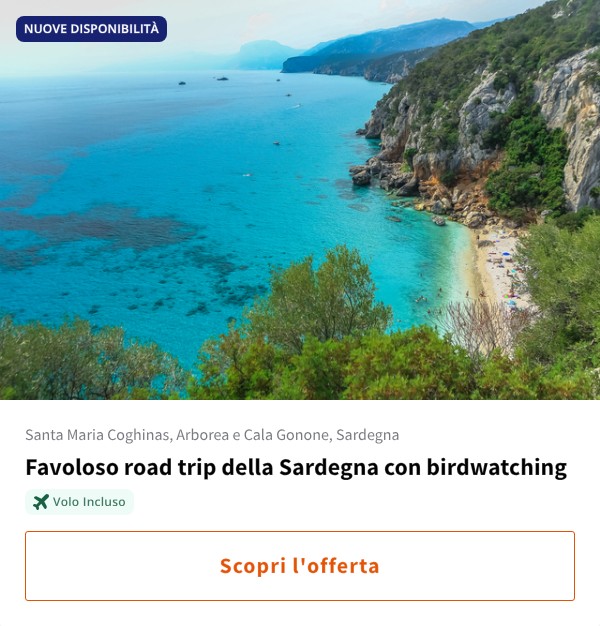 Favoloso road trip della Sardegna con birdwatching