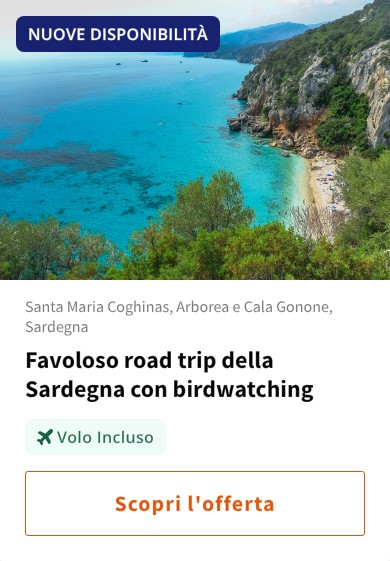 Favoloso road trip della Sardegna con birdwatching