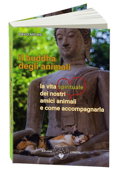 Bestseller