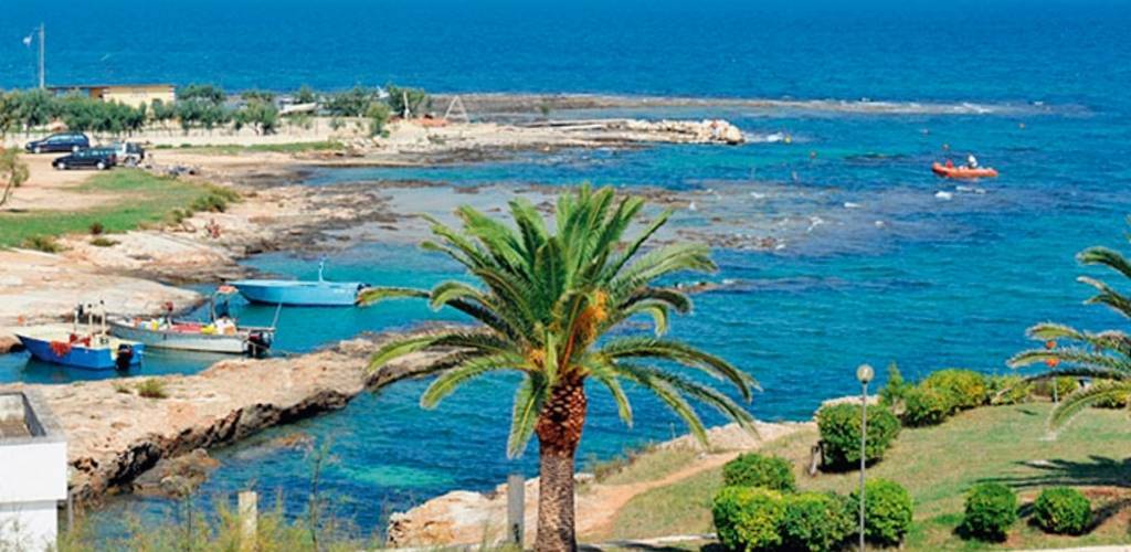 Turquoise Mediterranean bay with a central palm tree, rocky shoreline, small fishing boats and an inflatable boat on clear blue sea