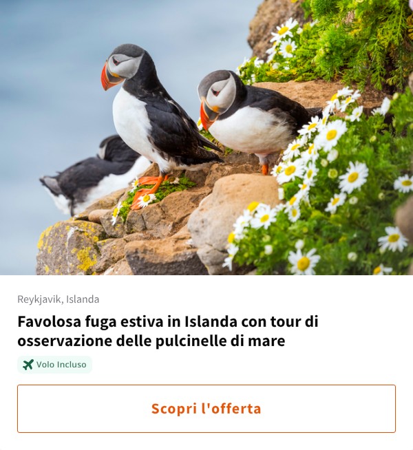 Favolosa fuga estiva in Islanda con tour di osservazione delle pulcinelle di mare