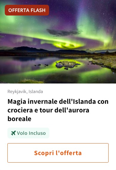 Magia invernale dell'Islanda con crociera e tour dell'aurora boreale