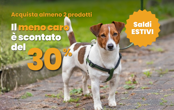saldi estivi