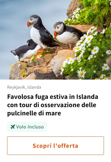 Favolosa fuga estiva in Islanda con tour di osservazione delle pulcinelle di mare