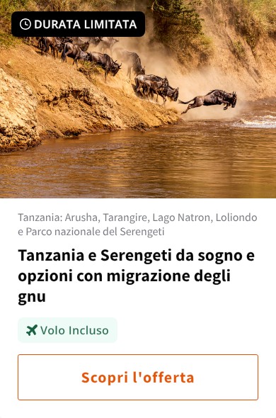 Tanzania e Serengeti da sogno e opzioni con migrazione degli gnu