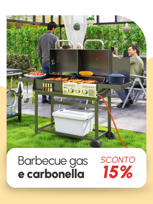 Barbecue a gas e carbonella