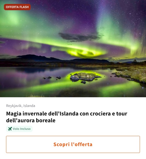 Magia invernale dell'Islanda con crociera e tour dell'aurora boreale